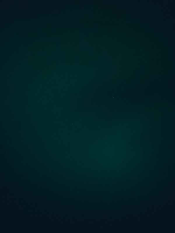 يمكن أن يقال اننا لا نستطيع بسهولة اقناع شعب بأن لا يصنع ديكتاتورا..